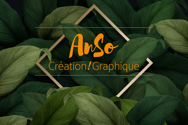 Anso-Creation-Voeux-2020-Animation